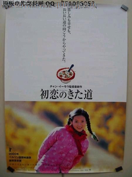 办理新加坡岛驾驶执照